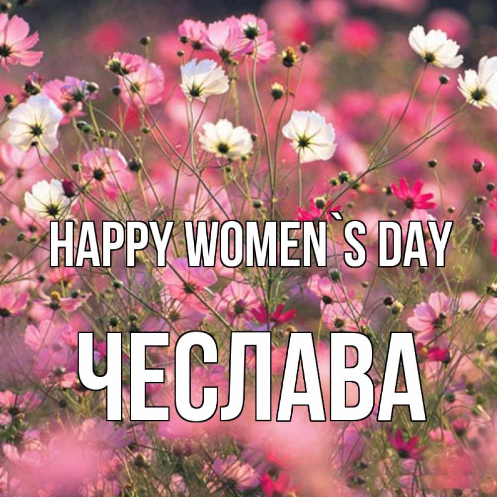 Greetings card с именем, Чеслава happy women`s day красиво 1 Greetings with text for free download 